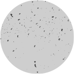 ¡Desarrolle sus habilidades, aprenda algo nuevo y mejore sus habilidades desde cualquier parte del mundo!